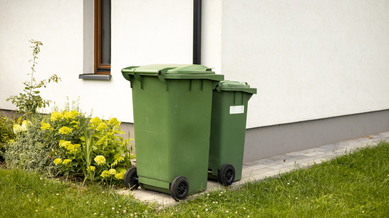 Pair of green garbage bins exposed outside of house