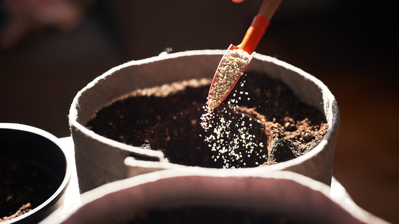Closeup of a small scoop with plant fertilizer being added into a plant pot