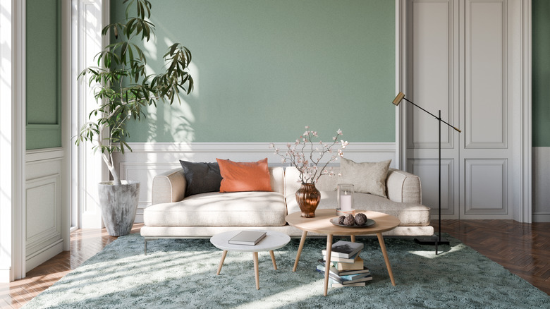 earth-toned room with thick sage colored rug