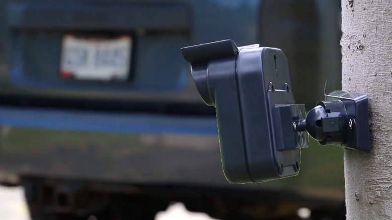 outdoor motion detector on tree