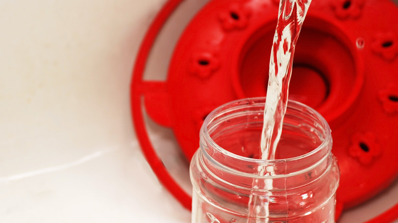 water pouring into the reservoir of a disassembled hummingbird feeder in the sink