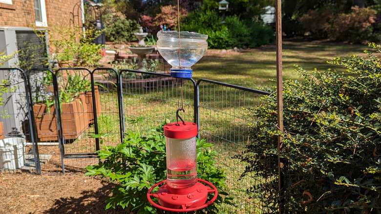 a hummingbird feeder with a DIY ant moat
