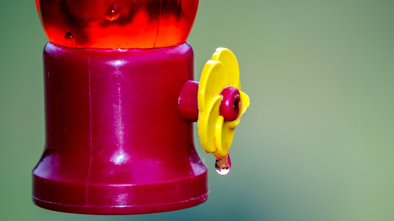 close-up of nectar dripping from a hummingbird feeder