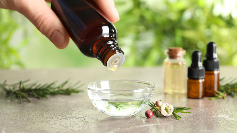 a hand dropping essential oils into a small dish