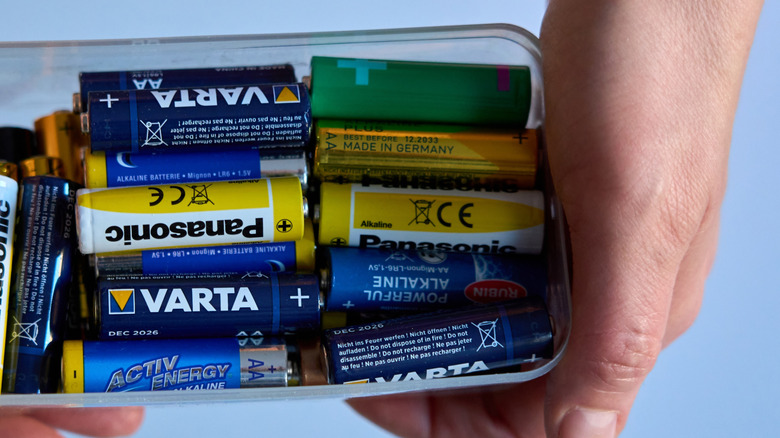 Batteries stacked inside a transparent plastic storage container held in a person's hands.
