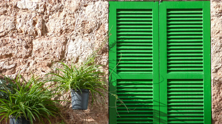 neon green shutters against stone house