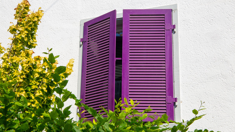 bright purple shutters on home