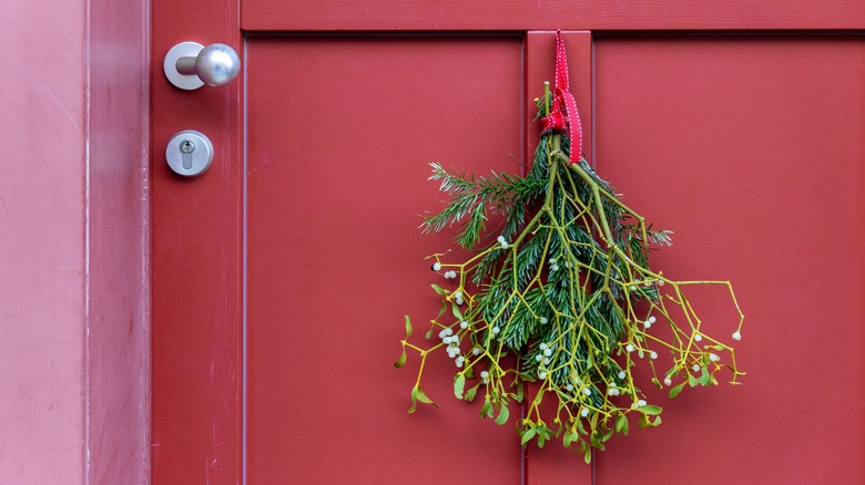 Mistletoe hanging on a red door