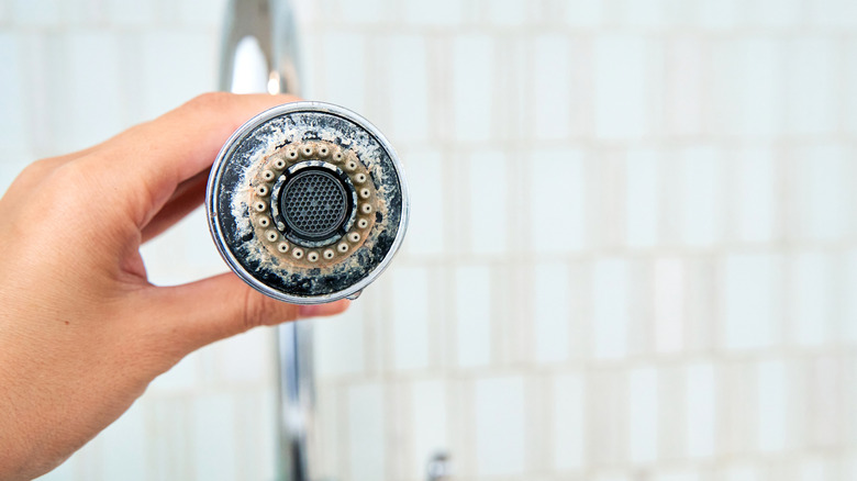 Hand holding a shower head covered with mineral buildup