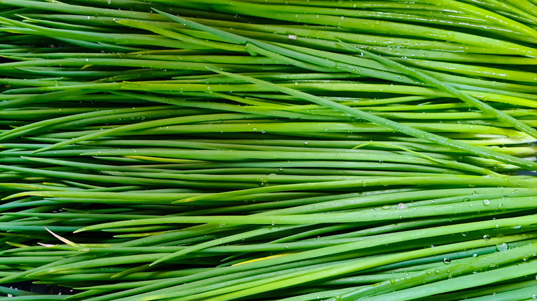 chives with drops of water on them