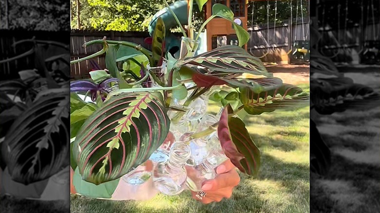 Mini glass stoppers glued together with plants