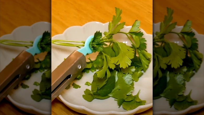 parsley sprigs being pulled through hole in kitchen tongs over plate