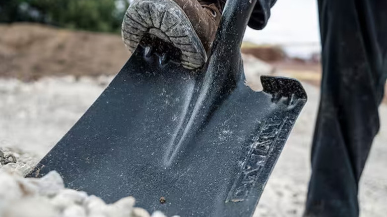A boot pressing the DeWalt transfer shovel into the ground