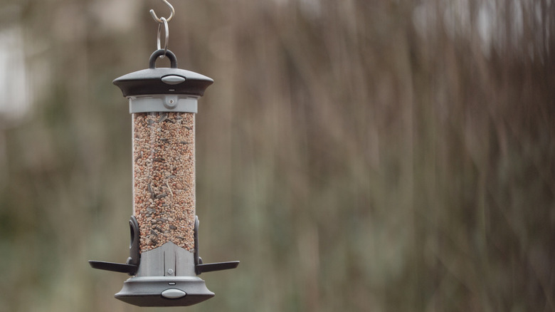 Close up of birdseed feeder