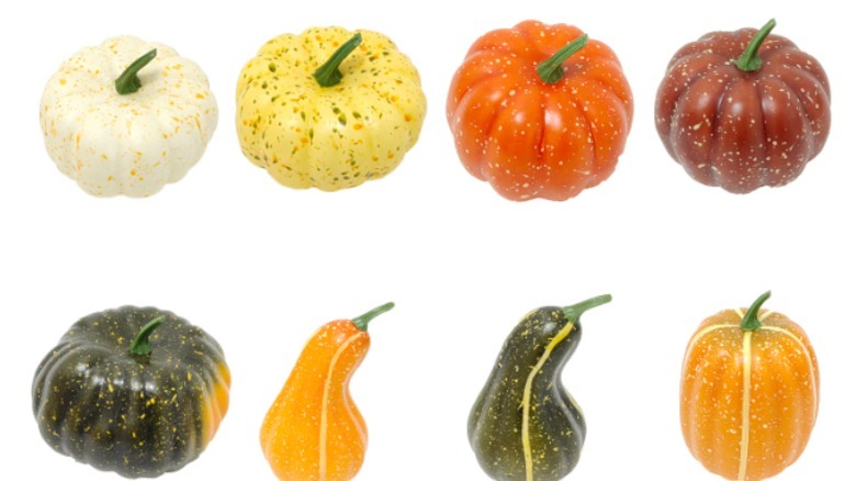 Dollar Tree Seasonal Collection Pumpkin and Gourd Decor