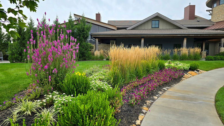 A beautiful tidy garden full of flowers in front of a grey house