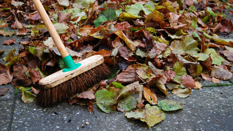 Person sweeping leaves on their patio
