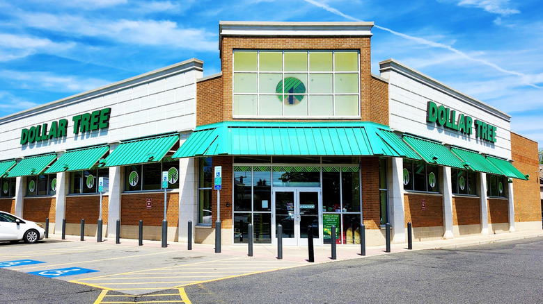 The exterior of a dollar tree is pictured in Virginia, USA