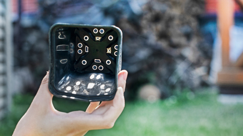 Hand holding an empty container with holes at the bottom for flowers and seedlings.
