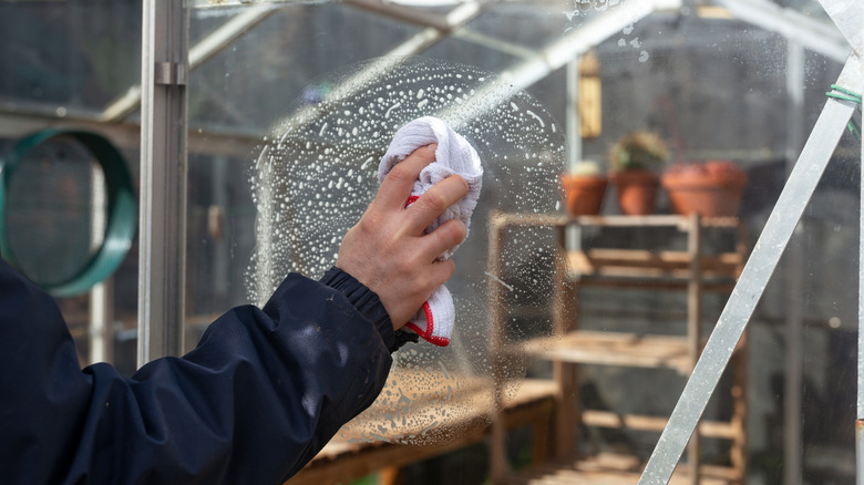 Man's hand cleaning a greenhouse with a spray and cloth