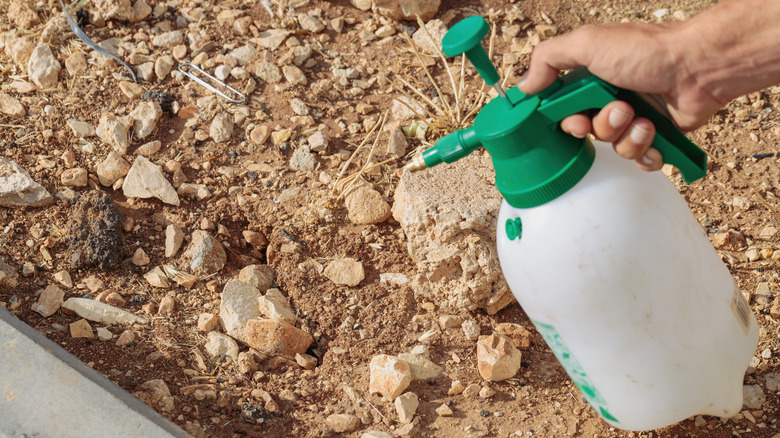 Spray bottle on soil