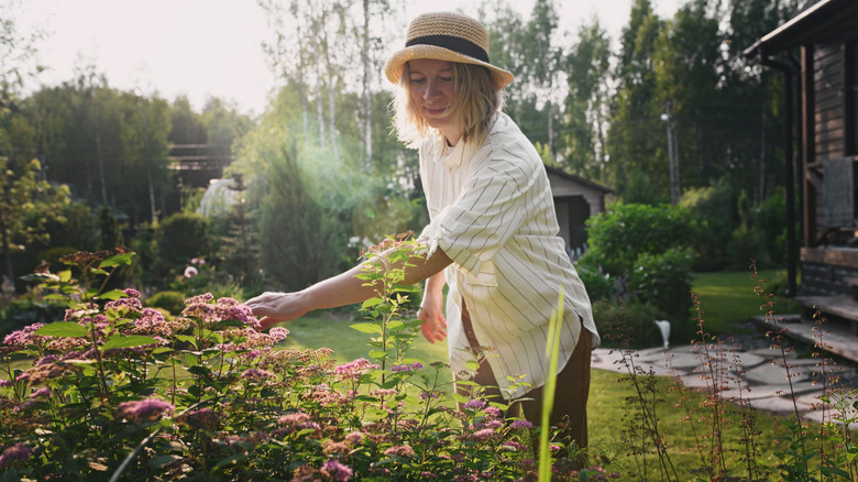 A women gardening in a mature garden