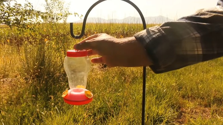 Man removing hanging hummingbird feeder from hook