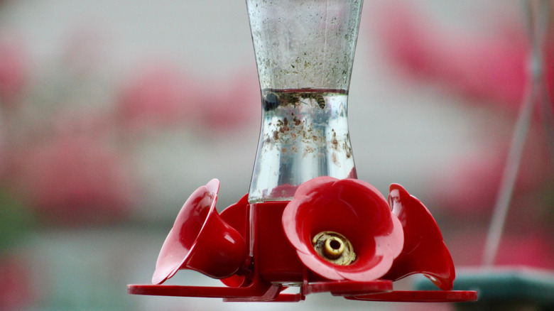 A close-up of a dirty hummingbird feeder