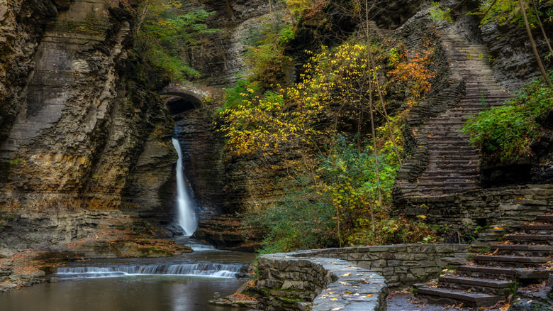 A waterfall and mossy cliffs in Watkins Glen State Park