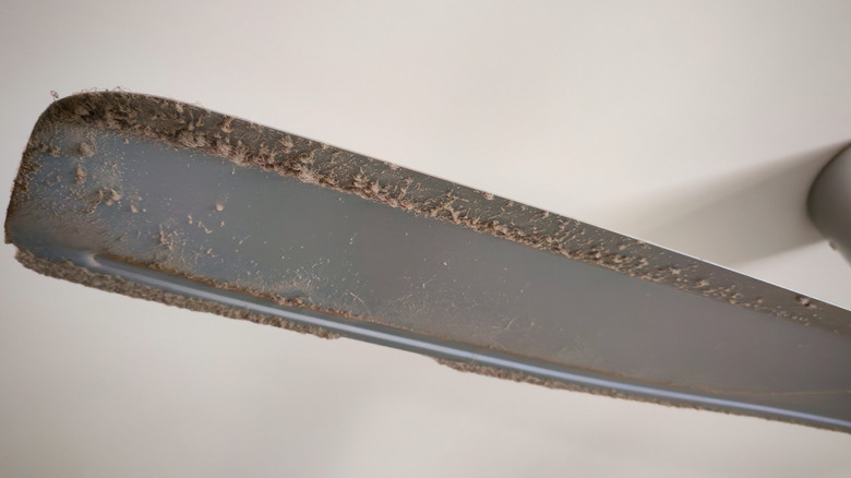 Dusty ceiling fan blade