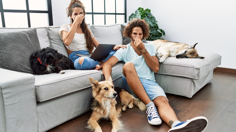 Family sitting on couch plugging thier noses