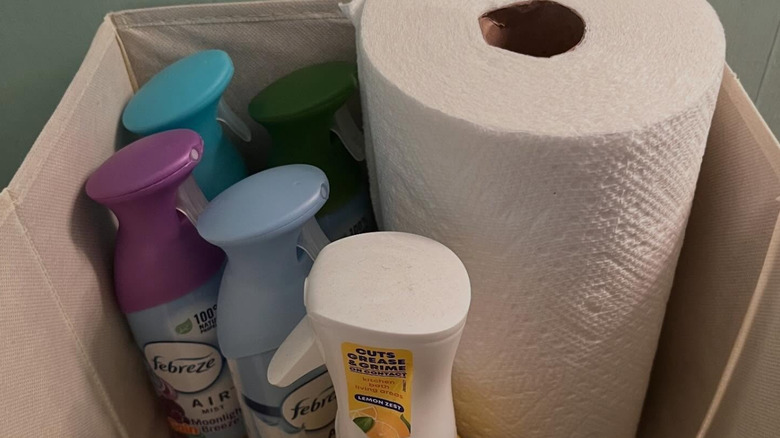 Cleaning supplies in a fabric bin