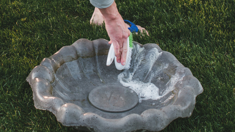 Person scrubbing down a birdbath