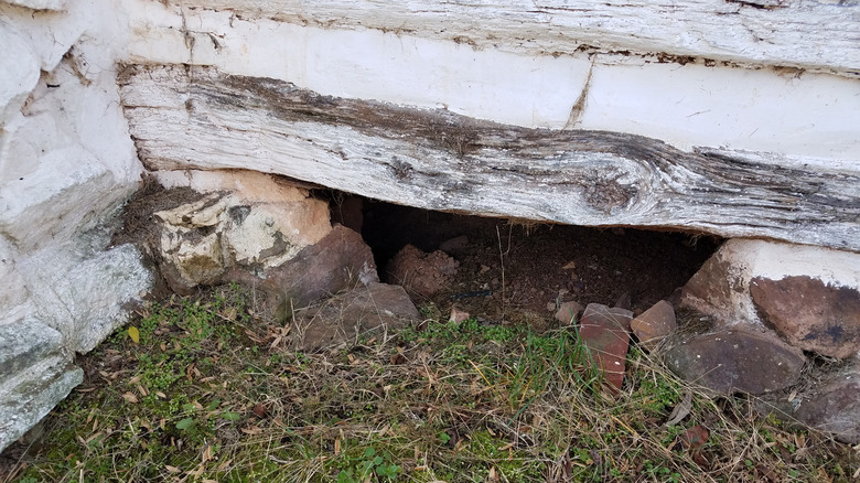 entrance to a crawl space
