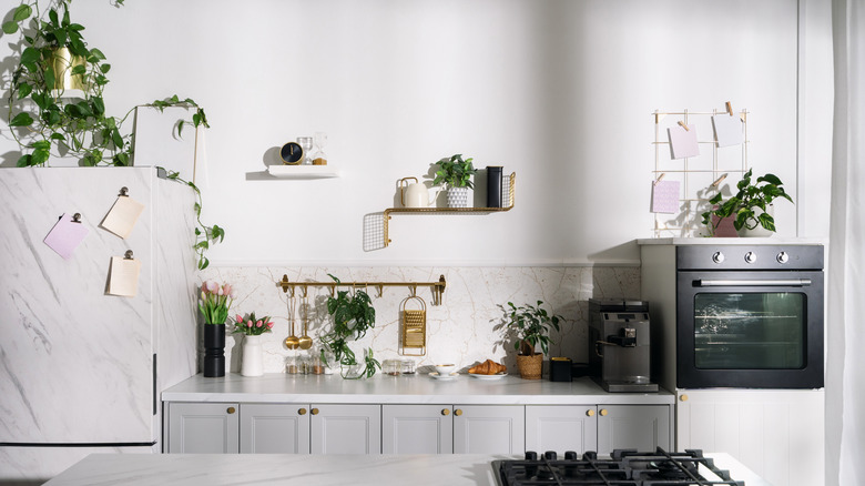 White kitchen with vining plants stored on top of fridge