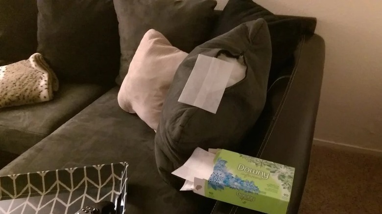 Dryer sheets being placed into couch cushions
