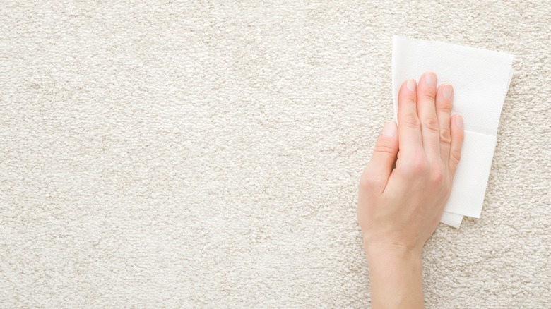Woman wiping pet hair on carpet