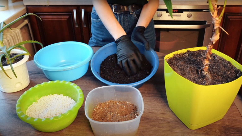 woman with multiple plant pots with various soil types