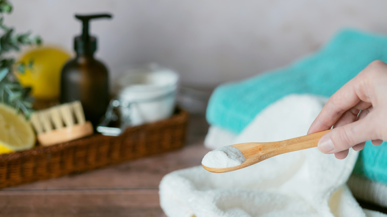 person holding spoon with Borax and cleaning supplies