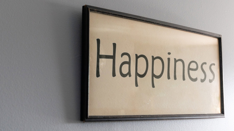 A wall sign with the word happiness written on it.
