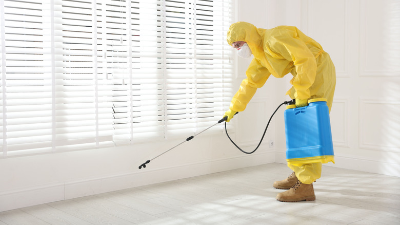 A pest control expert sprays insecticide near a window