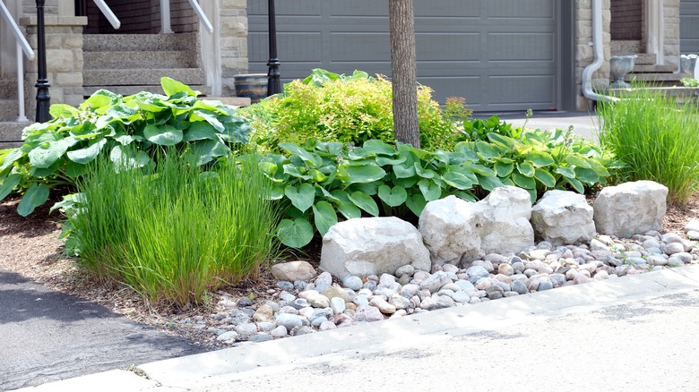 Front of a house wiht a rock garden and green plants