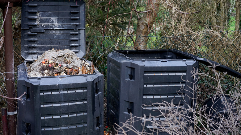 ash and other waste in black compost bin