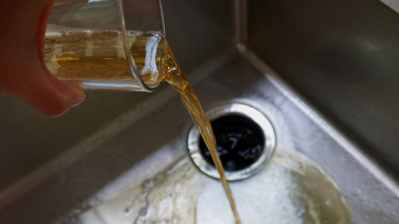 Person pouring liquid down a sink drain