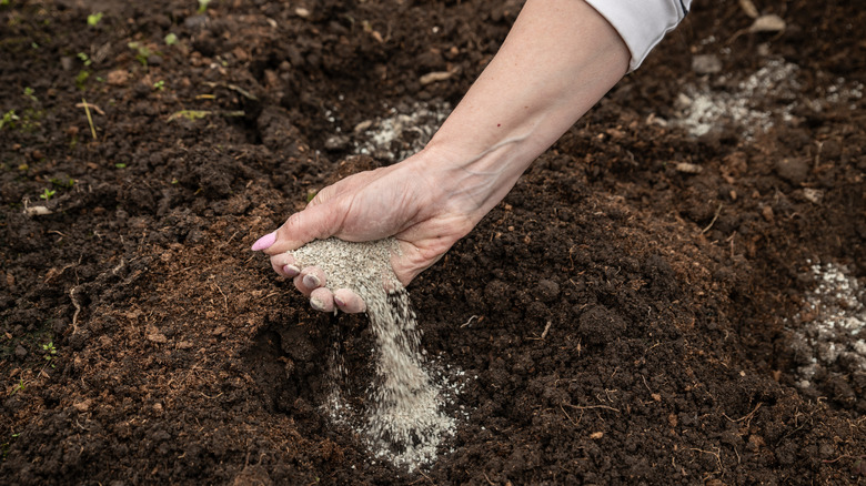 woman's hand applying bone meal to garden bed