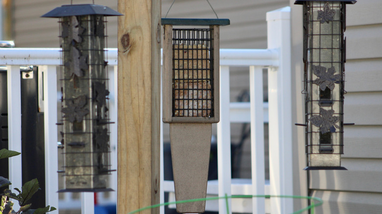Suet feeder with a tail prop along with two other bird feeders