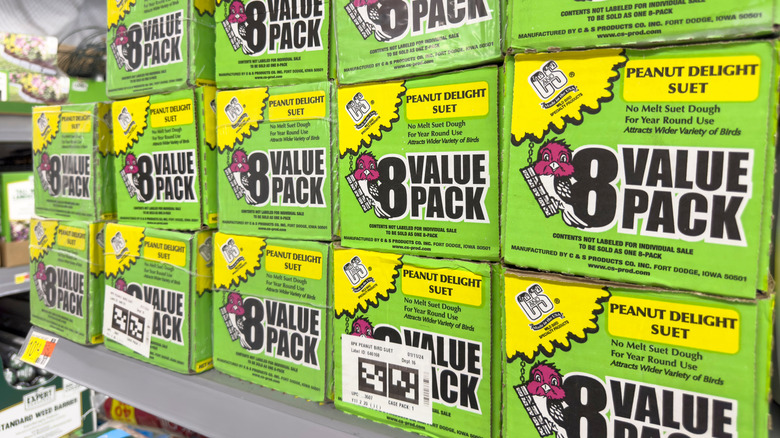 Packages of premade, no-melt suet on the store shelf