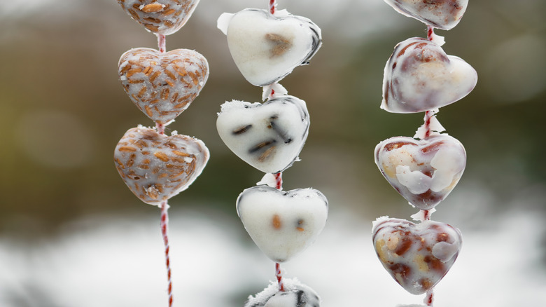 Heart-shaped homemade suet with customized ingredients