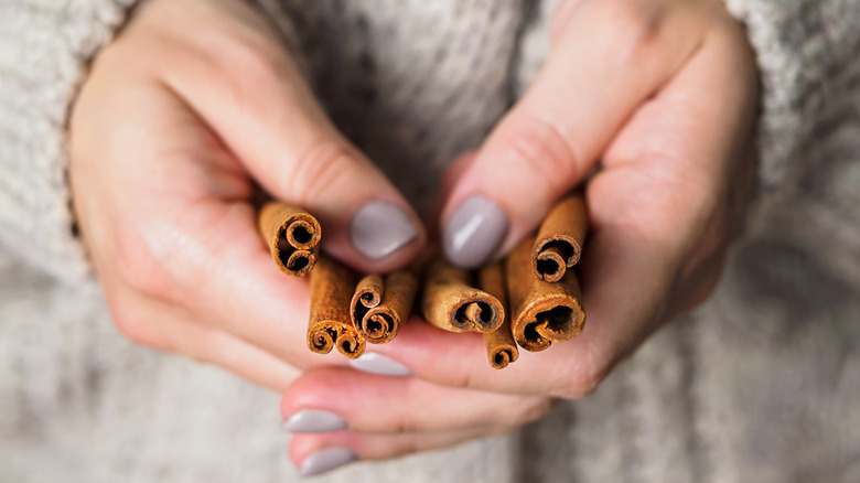 hands holding cinnamon sticks