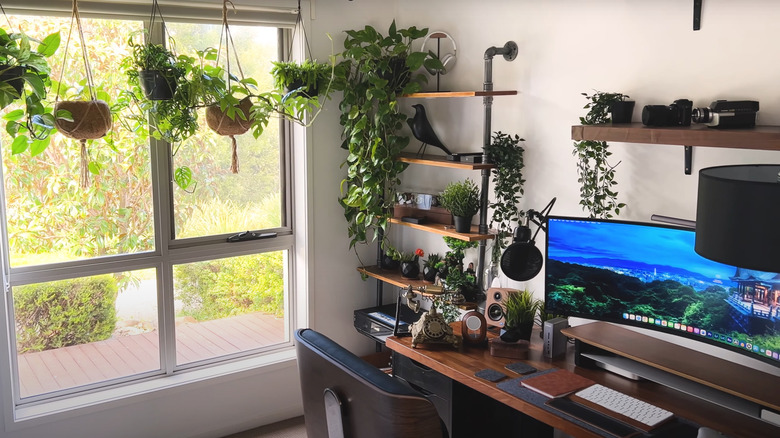 Living house plants hanging in window and around desk setup in home office